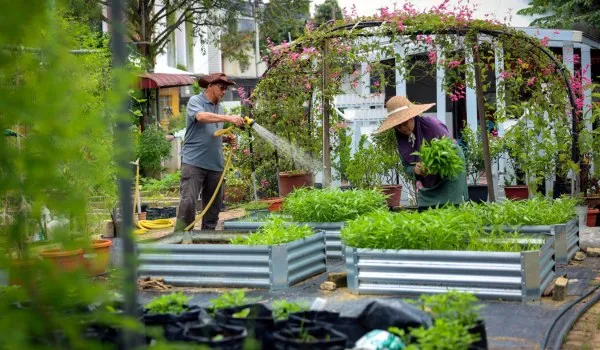 Manfaat Berkebun & Menanam Tumbuh-Tumbuhan