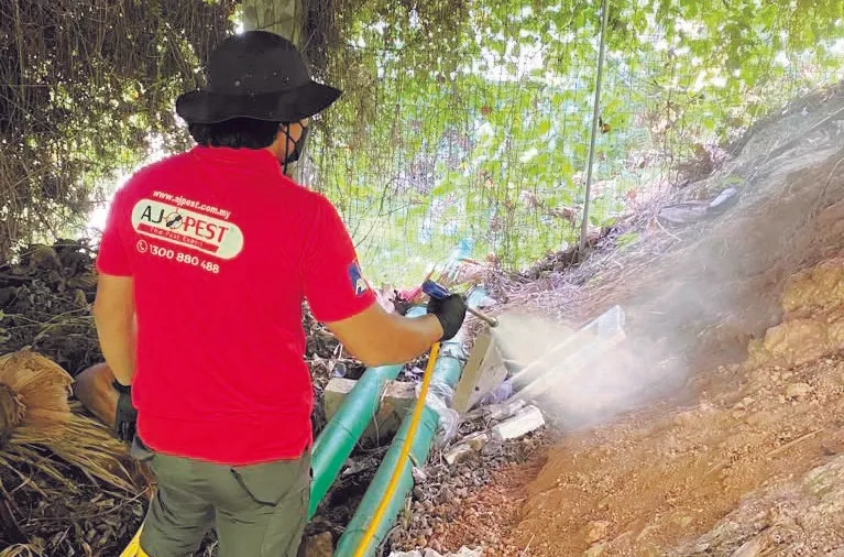 Kos Pest Control Rumah Malaysia 2026