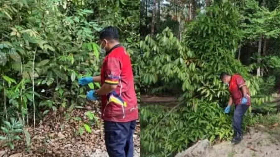Leptospirosis Kencing Tikus: Panduan Pelajar 2026